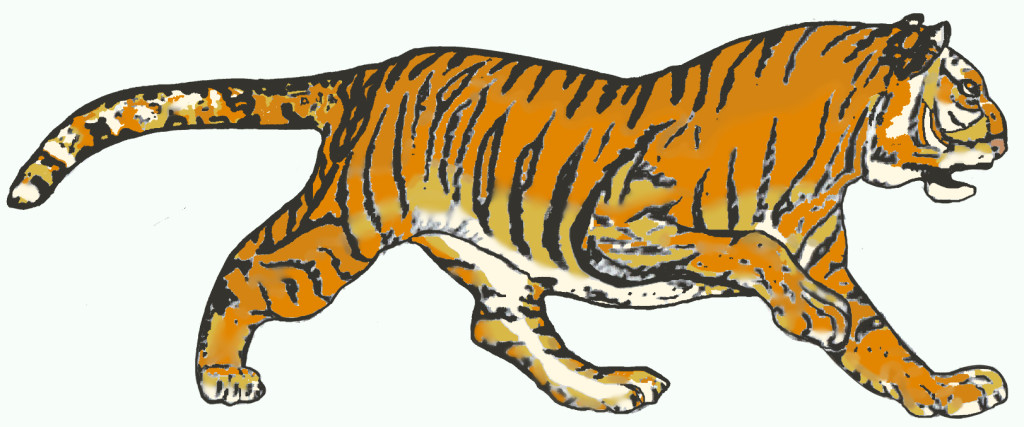 graphic tiger for strength and power